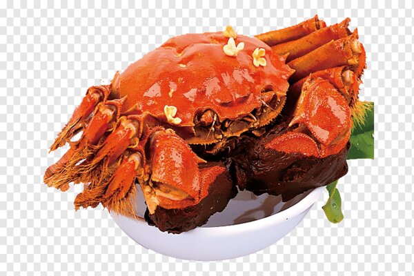 Shoespie Crab Reviews